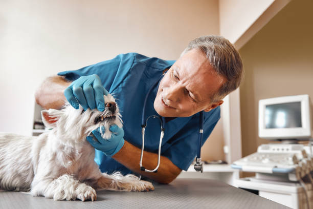 Best Weekend Emergency Dentist in Fort Pierce South, FL